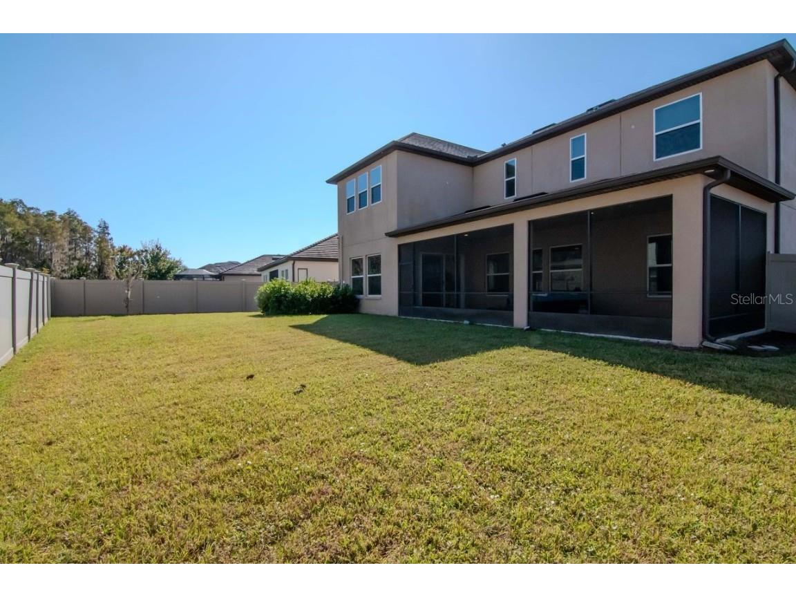 29542 Picana Lane Wesley Chapel FL 33543 TB8449959 image6