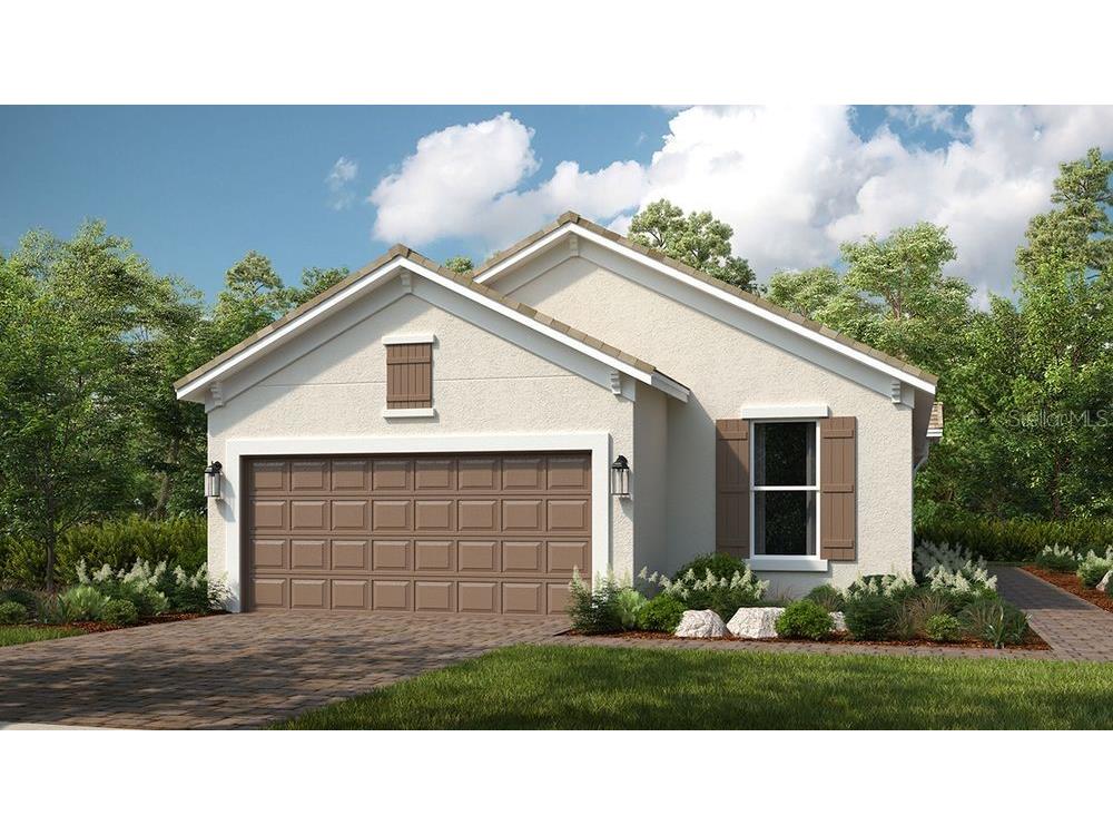 29549 Zupetta Lane Wesley Chapel FL 33545 O6278991 image1