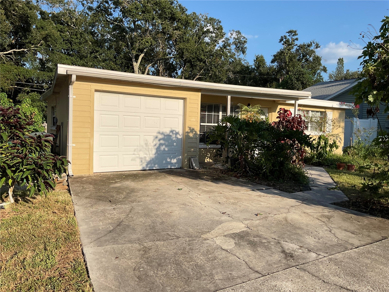 2955 Bay View Drive Safety Harbor FL 34695 TB8429566 image1