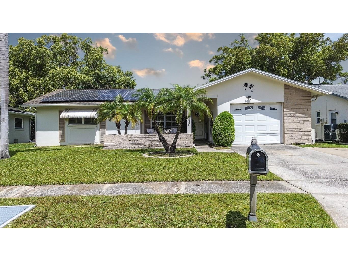 2955 Briar Cliff Drive Palm Harbor FL 34684 TB8445711 image1