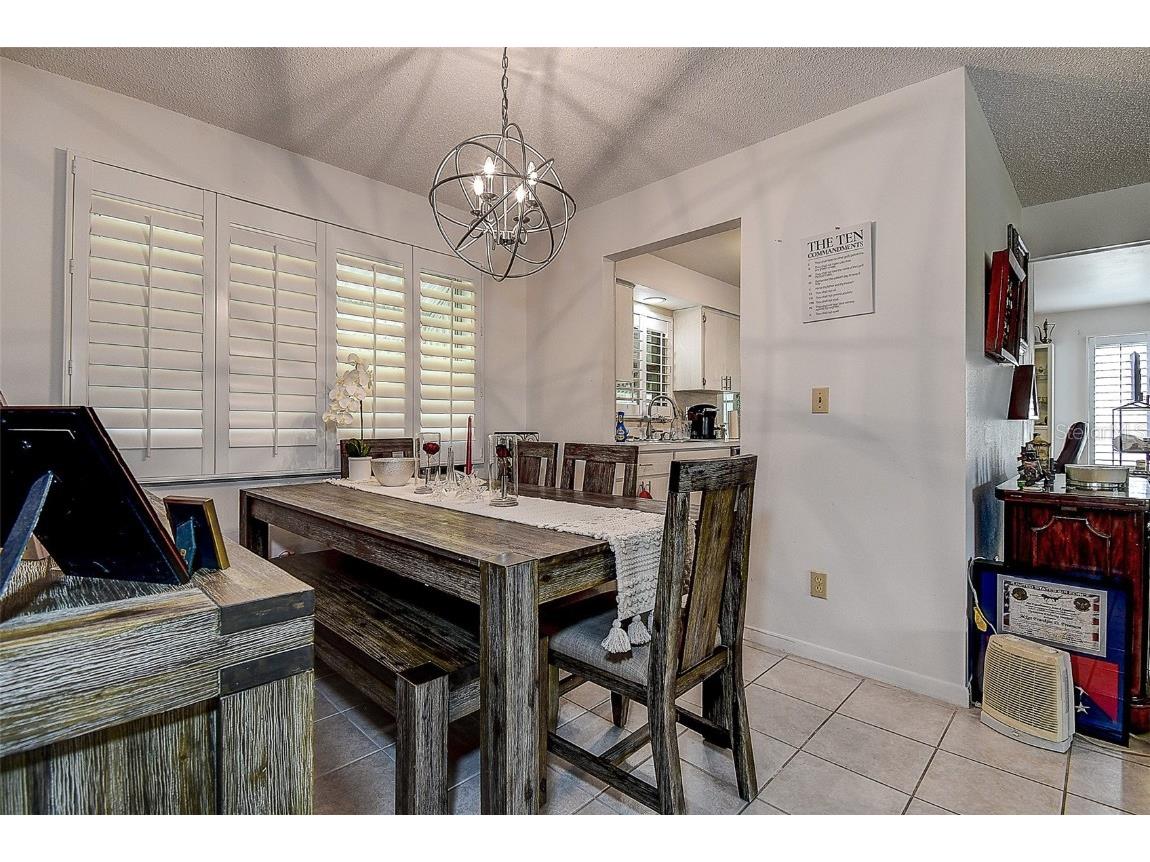 2955 Briar Cliff Drive Palm Harbor FL 34684 TB8445711 image10