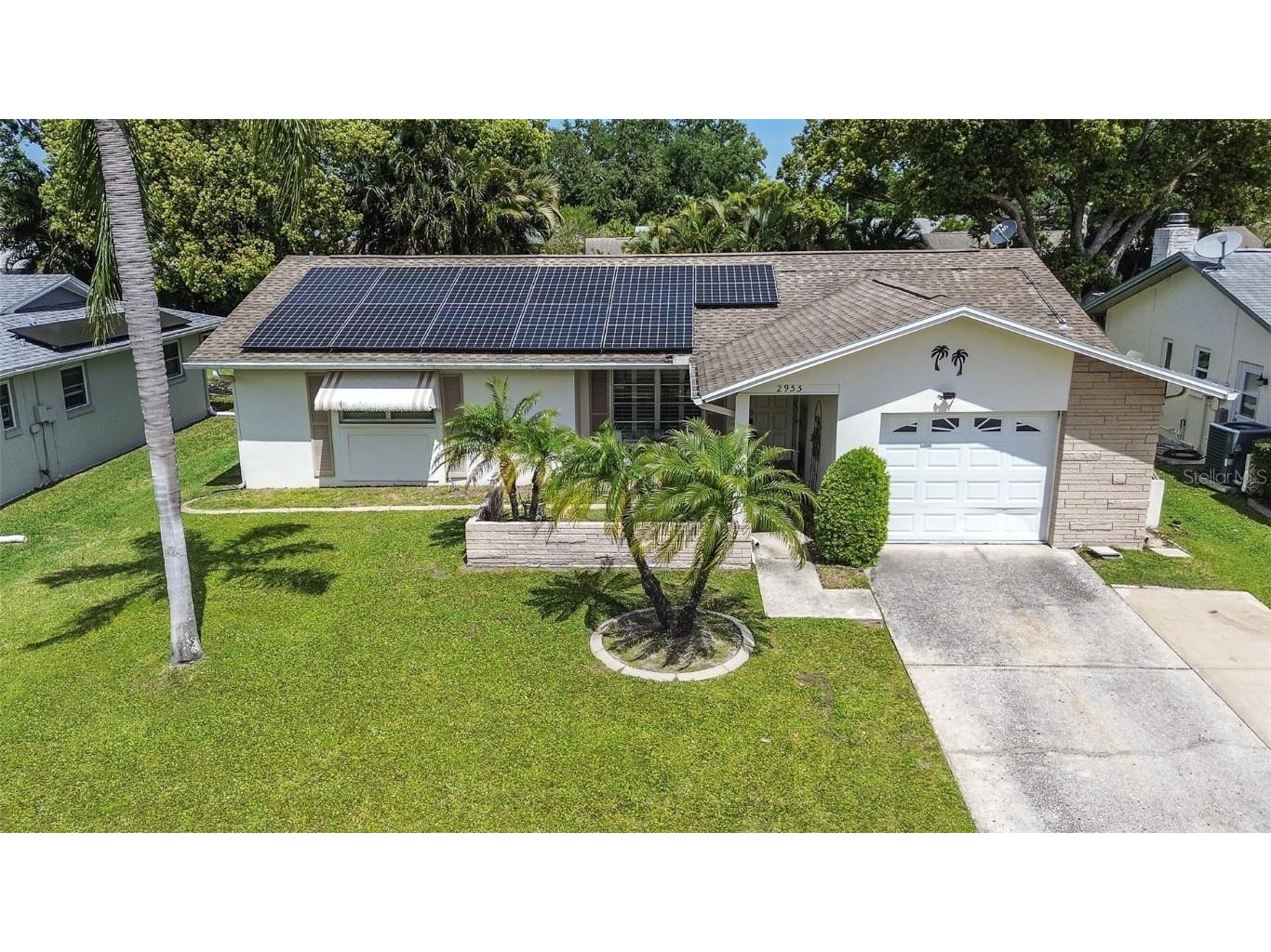 2955 Briar Cliff Drive Palm Harbor FL 34684 TB8445711 image2
