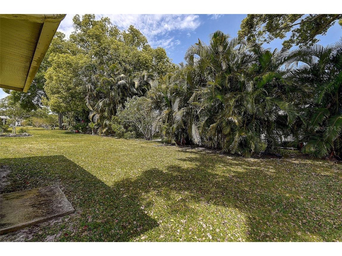 2955 Briar Cliff Drive Palm Harbor FL 34684 TB8445711 image28