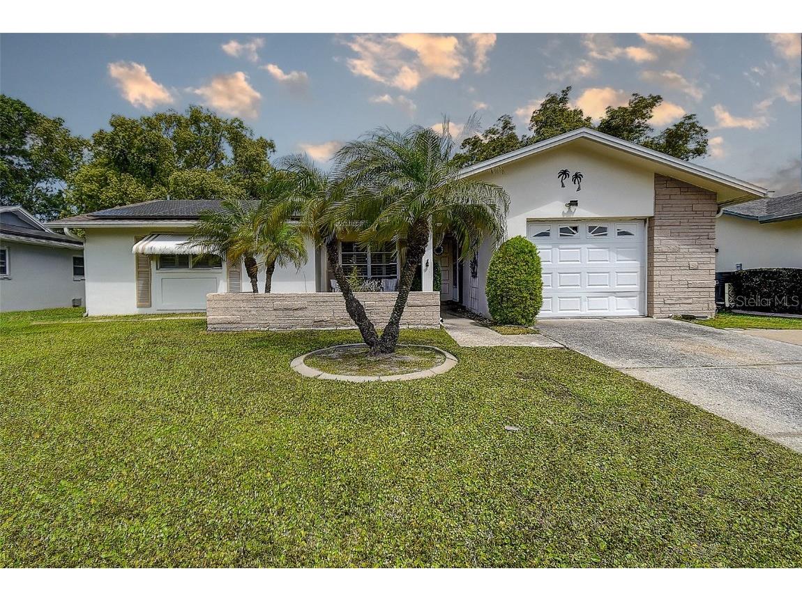 2955 Briar Cliff Drive Palm Harbor FL 34684 TB8445711 image3