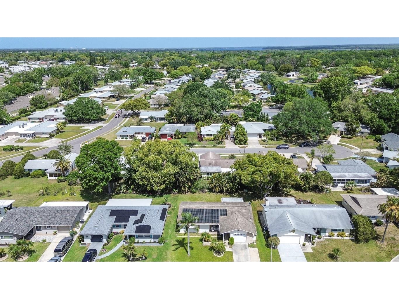 2955 Briar Cliff Drive Palm Harbor FL 34684 TB8445711 image31