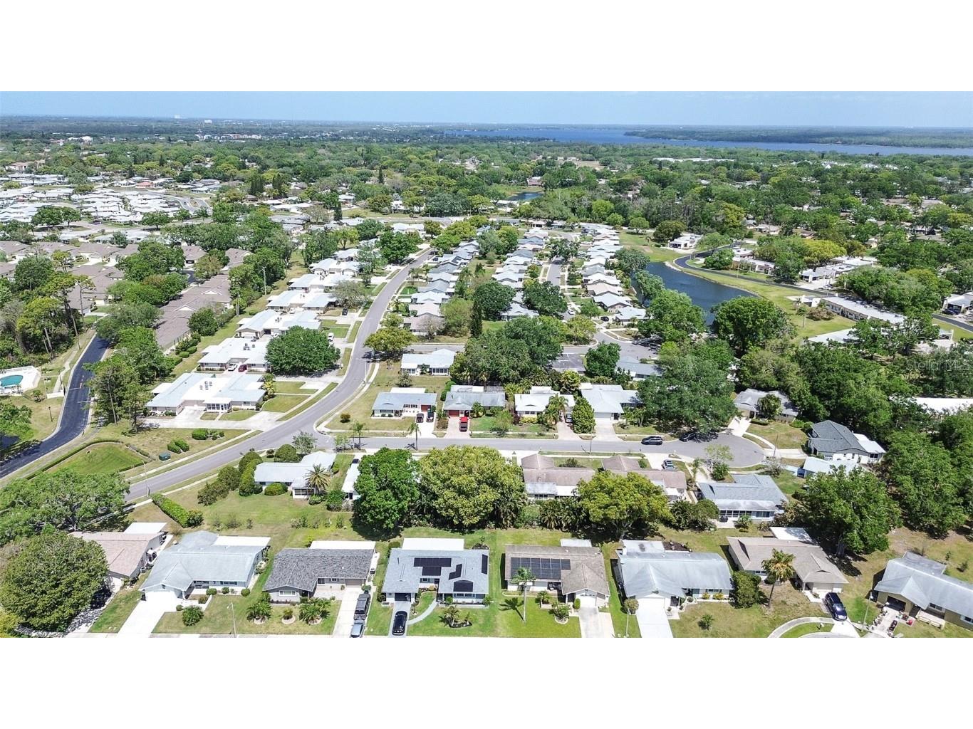 2955 Briar Cliff Drive Palm Harbor FL 34684 TB8445711 image32