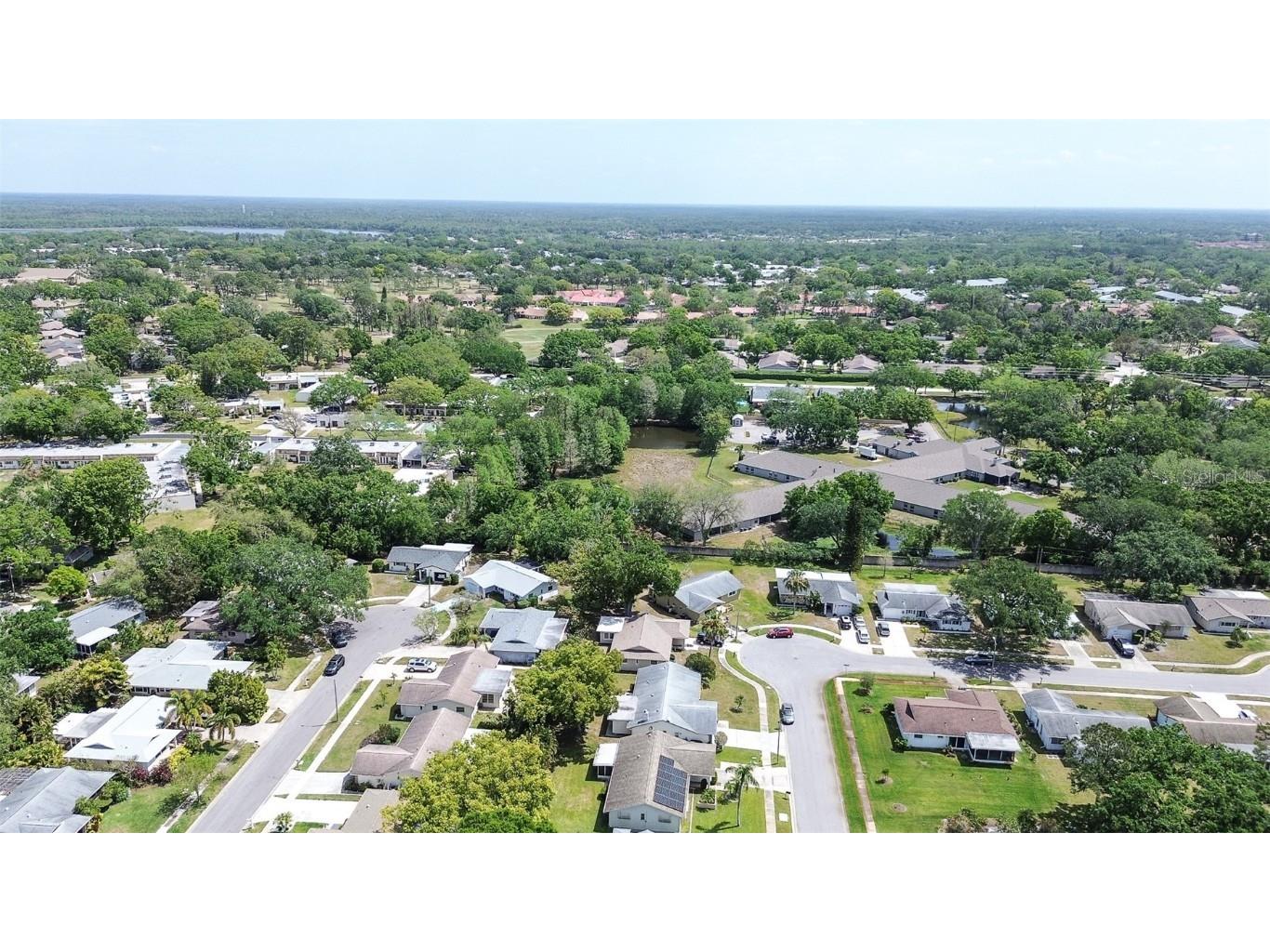 2955 Briar Cliff Drive Palm Harbor FL 34684 TB8445711 image33