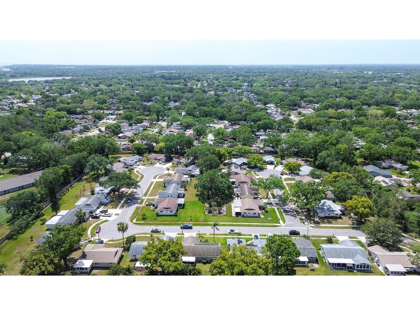 2955 Briar Cliff Drive Palm Harbor FL 34684 TB8445711 image34