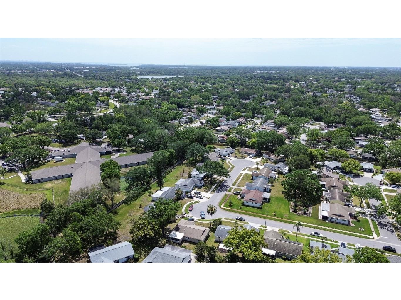 2955 Briar Cliff Drive Palm Harbor FL 34684 TB8445711 image35