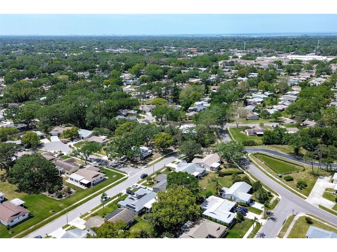 2955 Briar Cliff Drive Palm Harbor FL 34684 TB8445711 image36