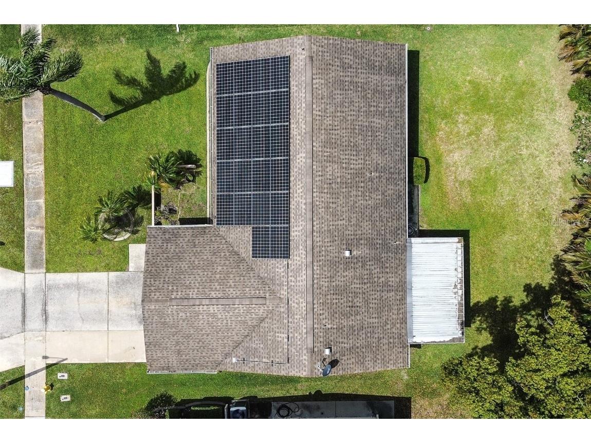 2955 Briar Cliff Drive Palm Harbor FL 34684 TB8445711 image4