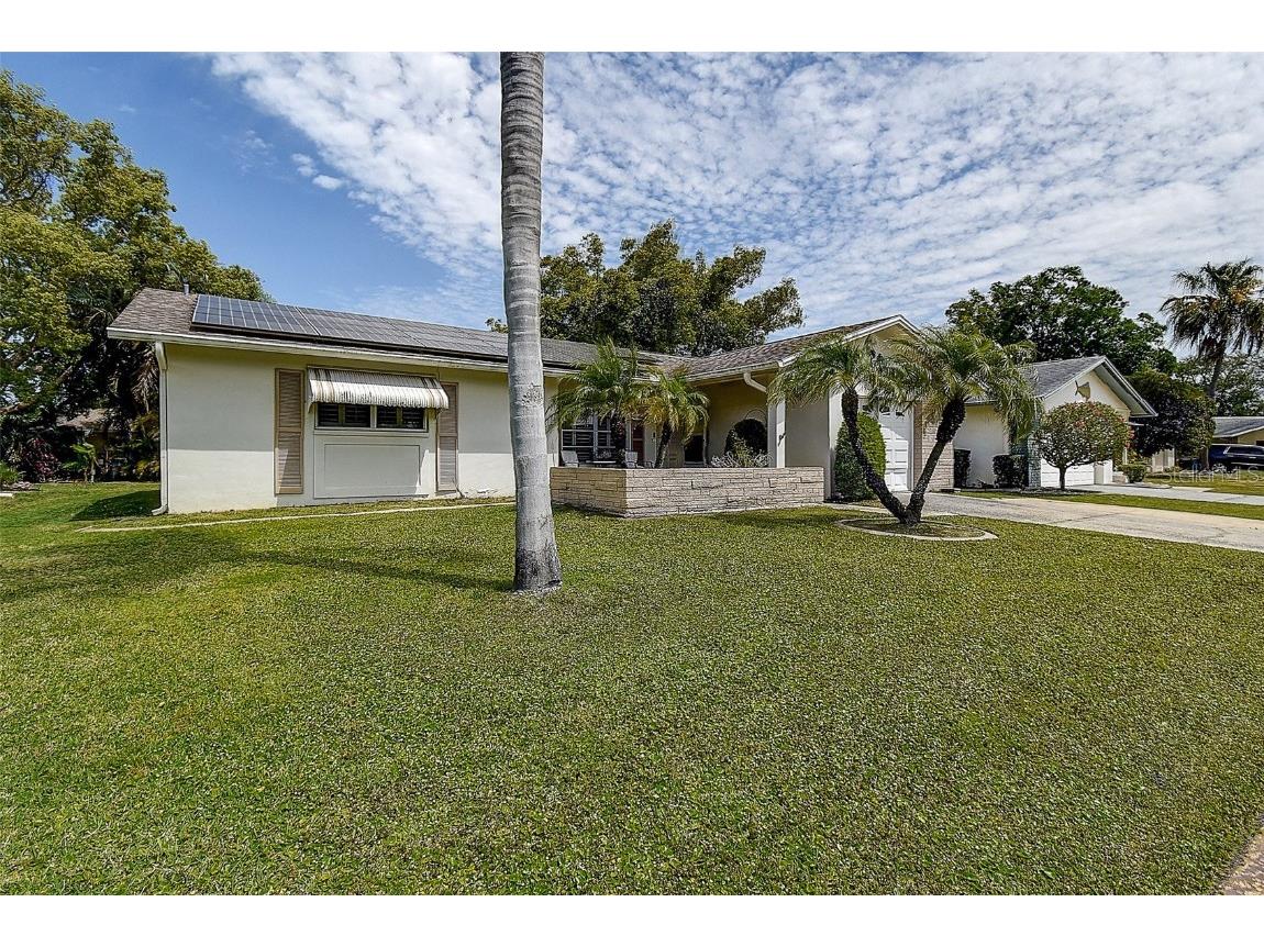 2955 Briar Cliff Drive Palm Harbor FL 34684 TB8445711 image5