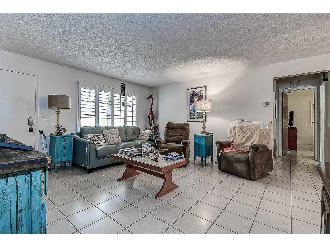 2955 Briar Cliff Drive Palm Harbor FL 34684 TB8445711 image7