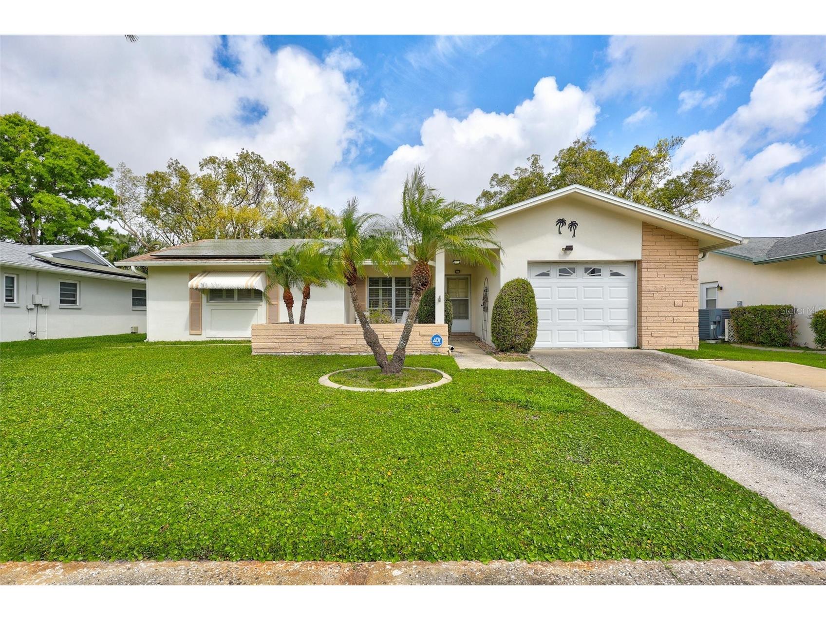 2955 Briar Cliff Drive Palm Harbor FL 34684 - LAKE TARPON TB8478305 image1