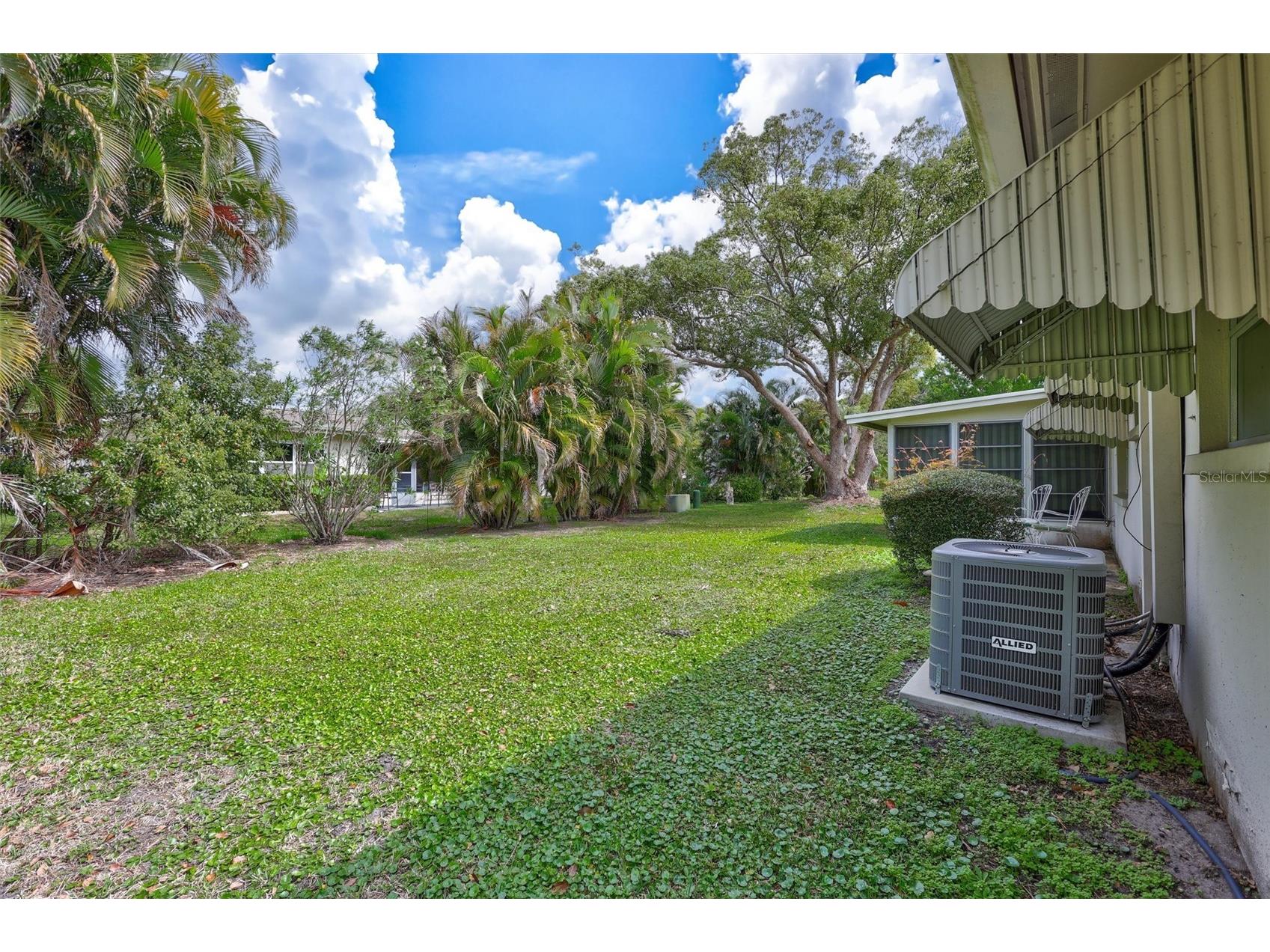 2955 Briar Cliff Drive Palm Harbor FL 34684 - LAKE TARPON TB8478305 image29