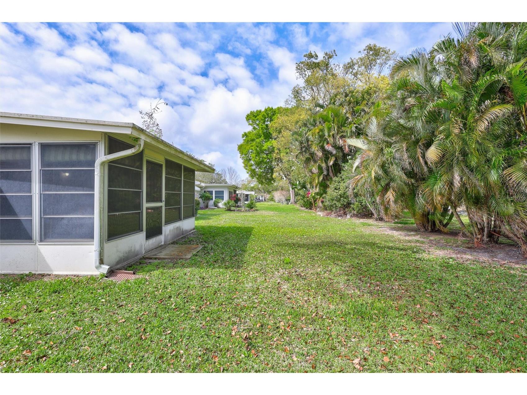2955 Briar Cliff Drive Palm Harbor FL 34684 - LAKE TARPON TB8478305 image34