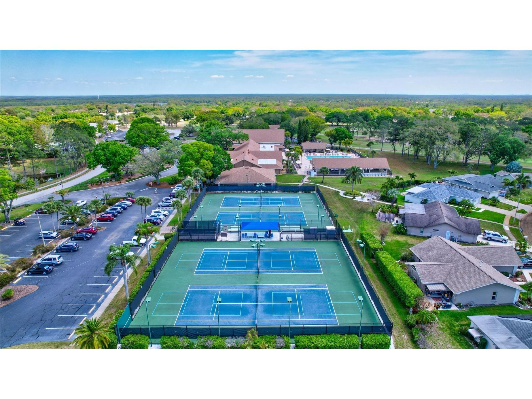 2955 Briar Cliff Drive Palm Harbor FL 34684 - LAKE TARPON TB8478305 image36