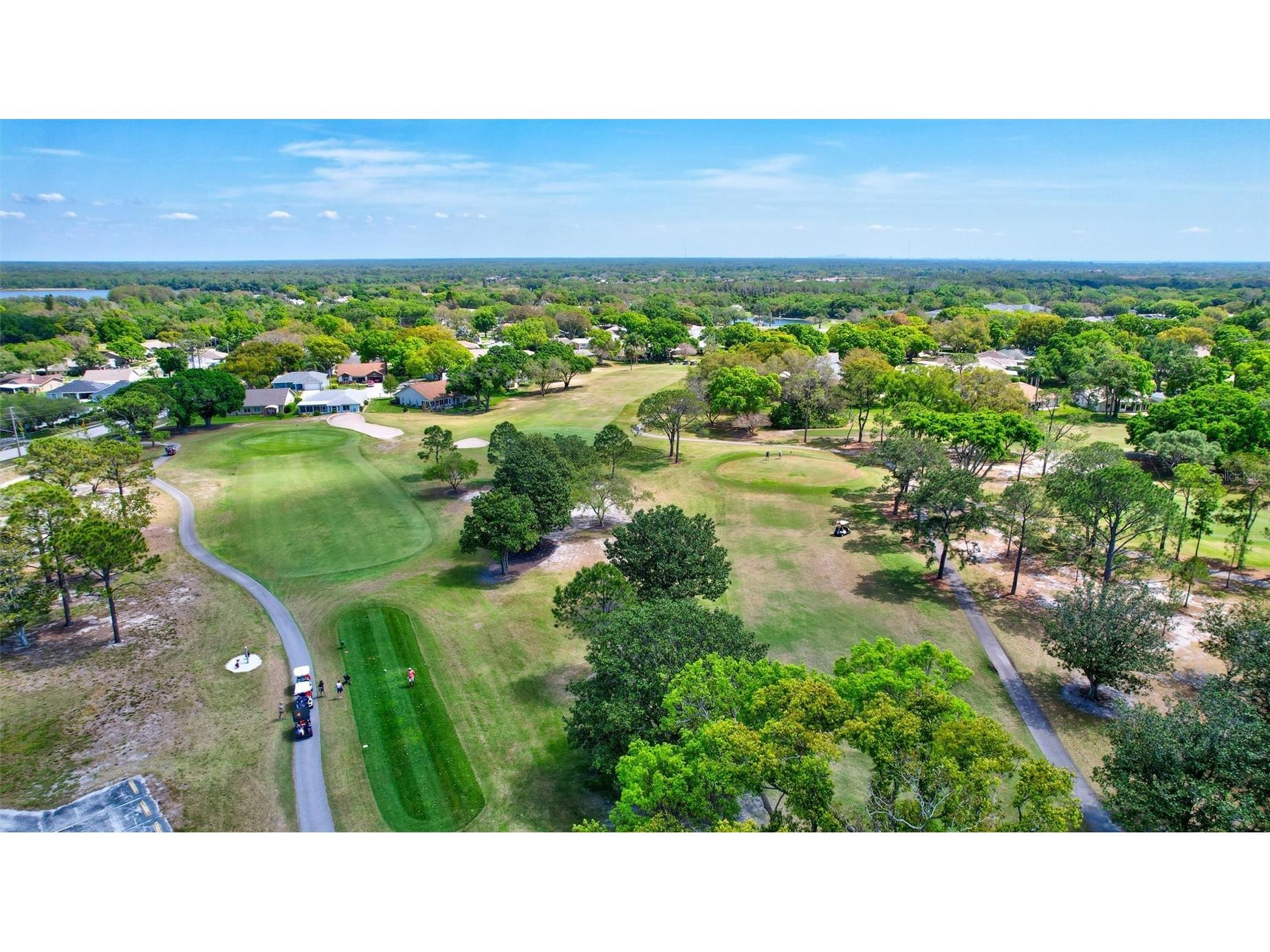 2955 Briar Cliff Drive Palm Harbor FL 34684 - LAKE TARPON TB8478305 image41