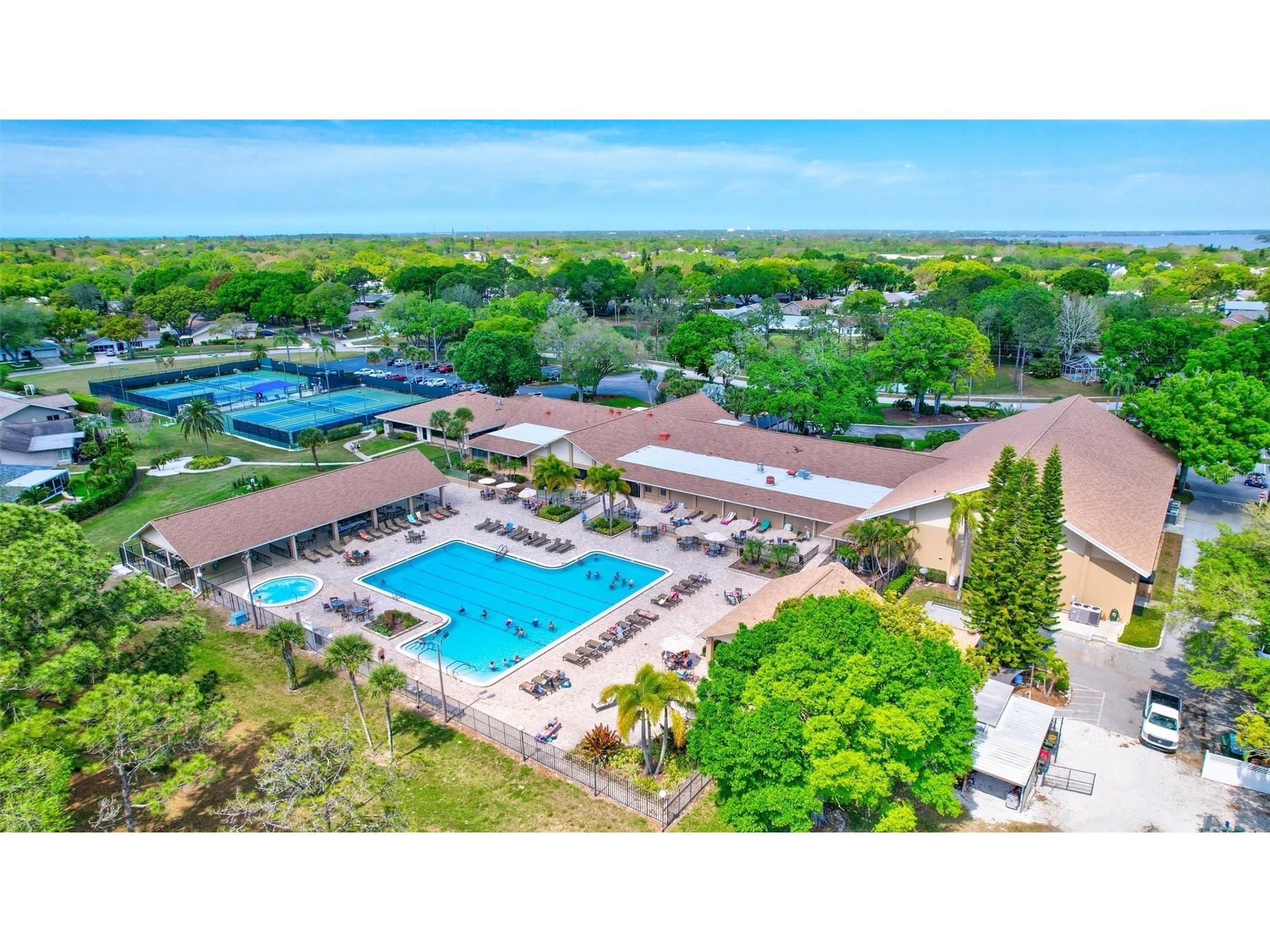 2955 Briar Cliff Drive Palm Harbor FL 34684 - LAKE TARPON TB8478305 image44