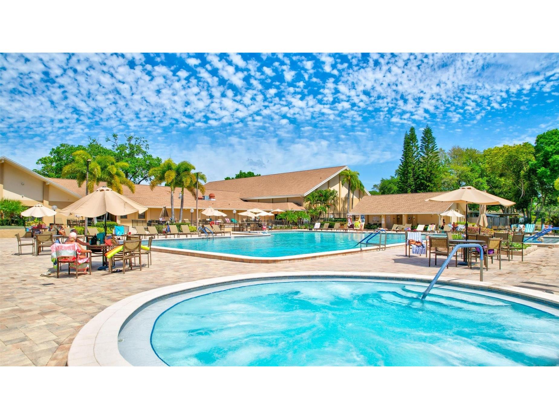 2955 Briar Cliff Drive Palm Harbor FL 34684 - LAKE TARPON TB8478305 image45