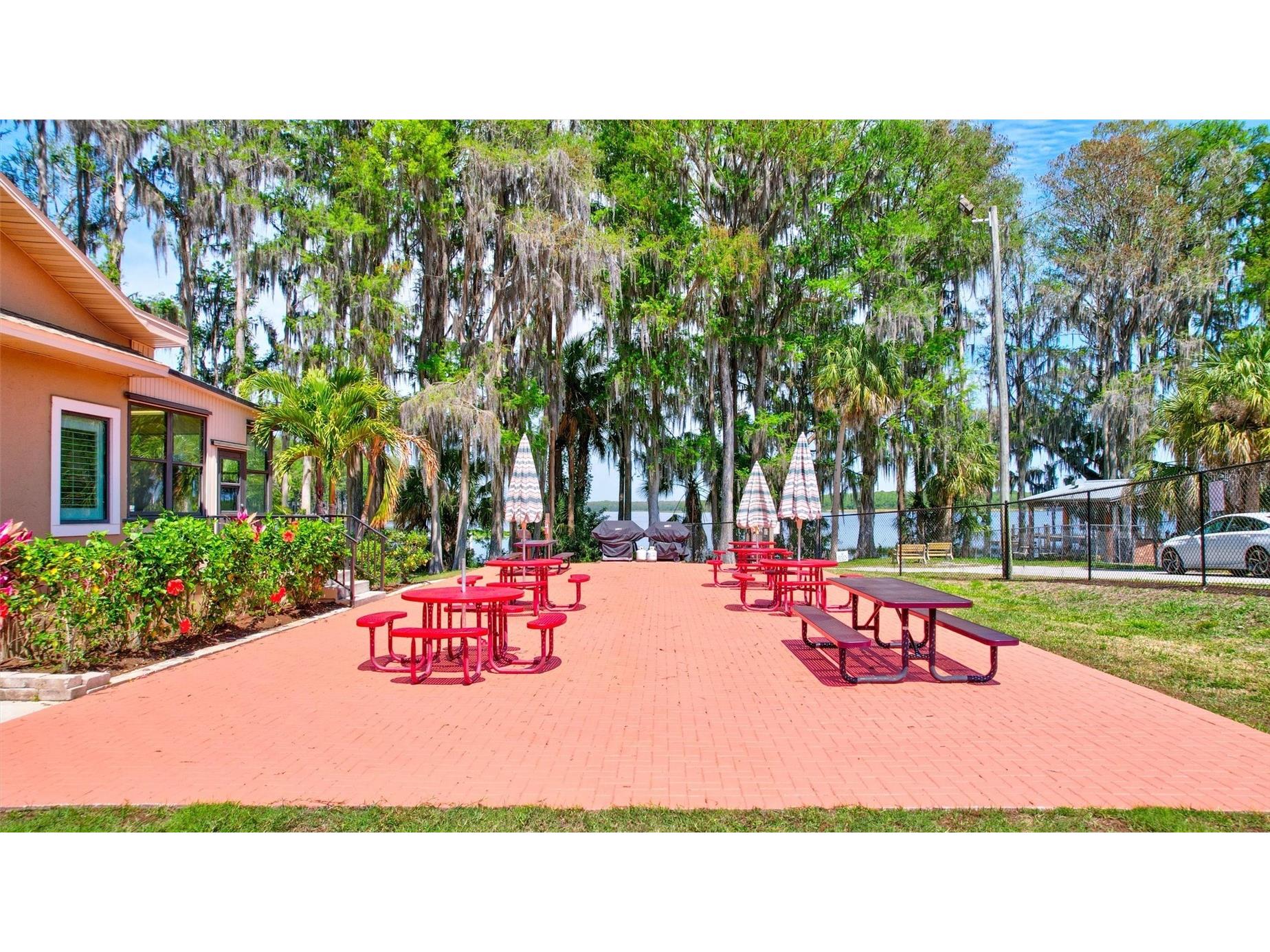 2955 Briar Cliff Drive Palm Harbor FL 34684 - LAKE TARPON TB8478305 image55