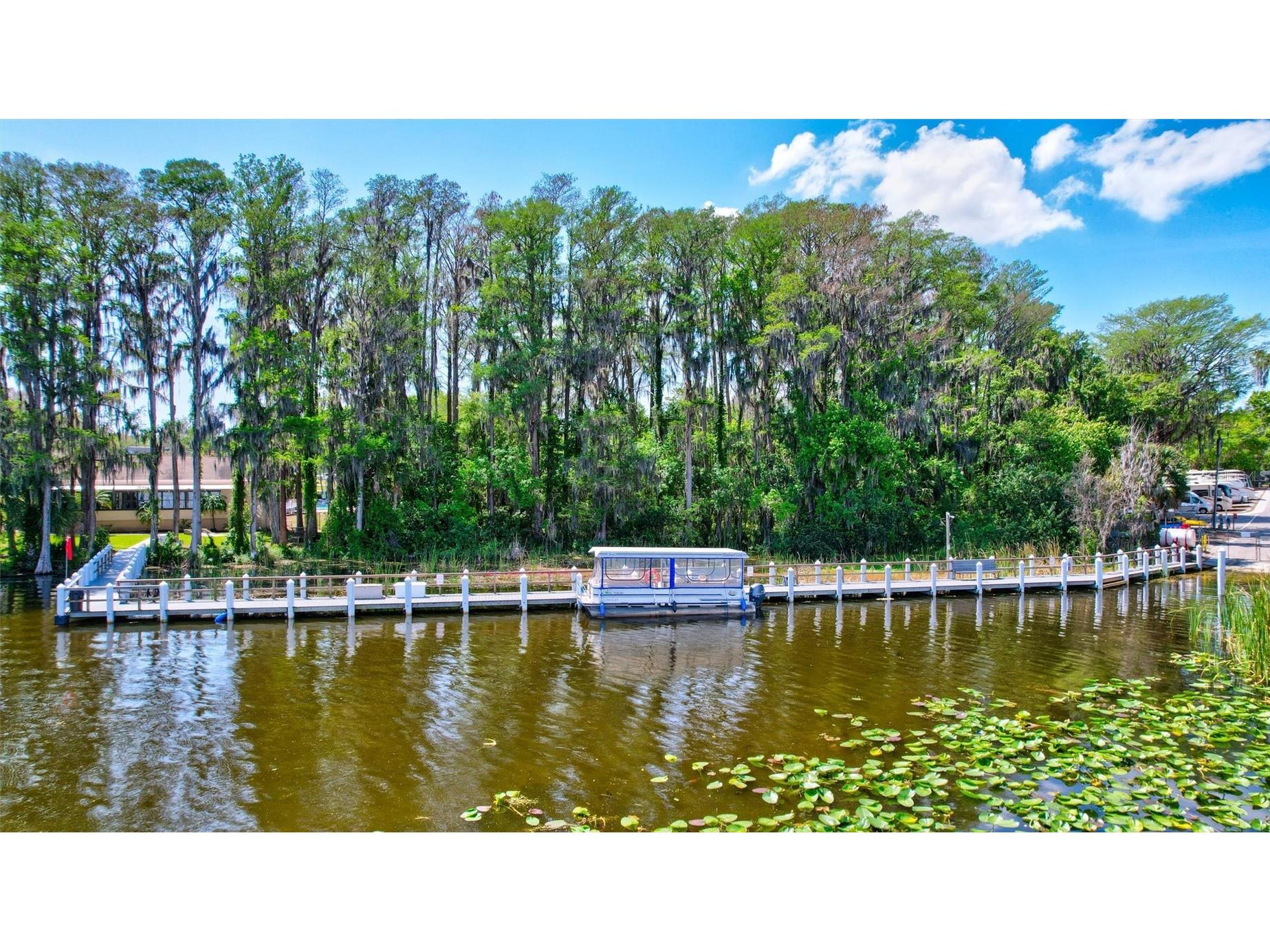 2955 Briar Cliff Drive Palm Harbor FL 34684 - LAKE TARPON TB8478305 image59
