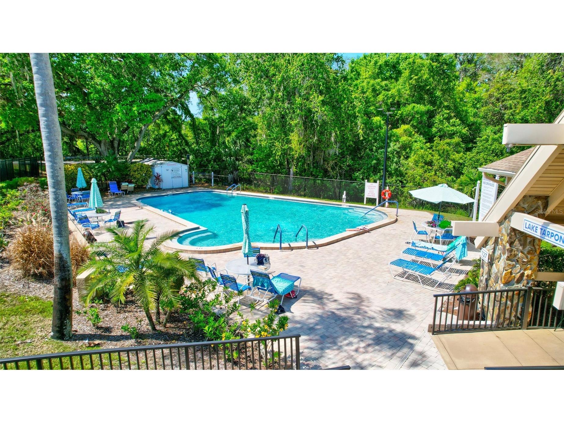 2955 Briar Cliff Drive Palm Harbor FL 34684 - LAKE TARPON TB8478305 image60
