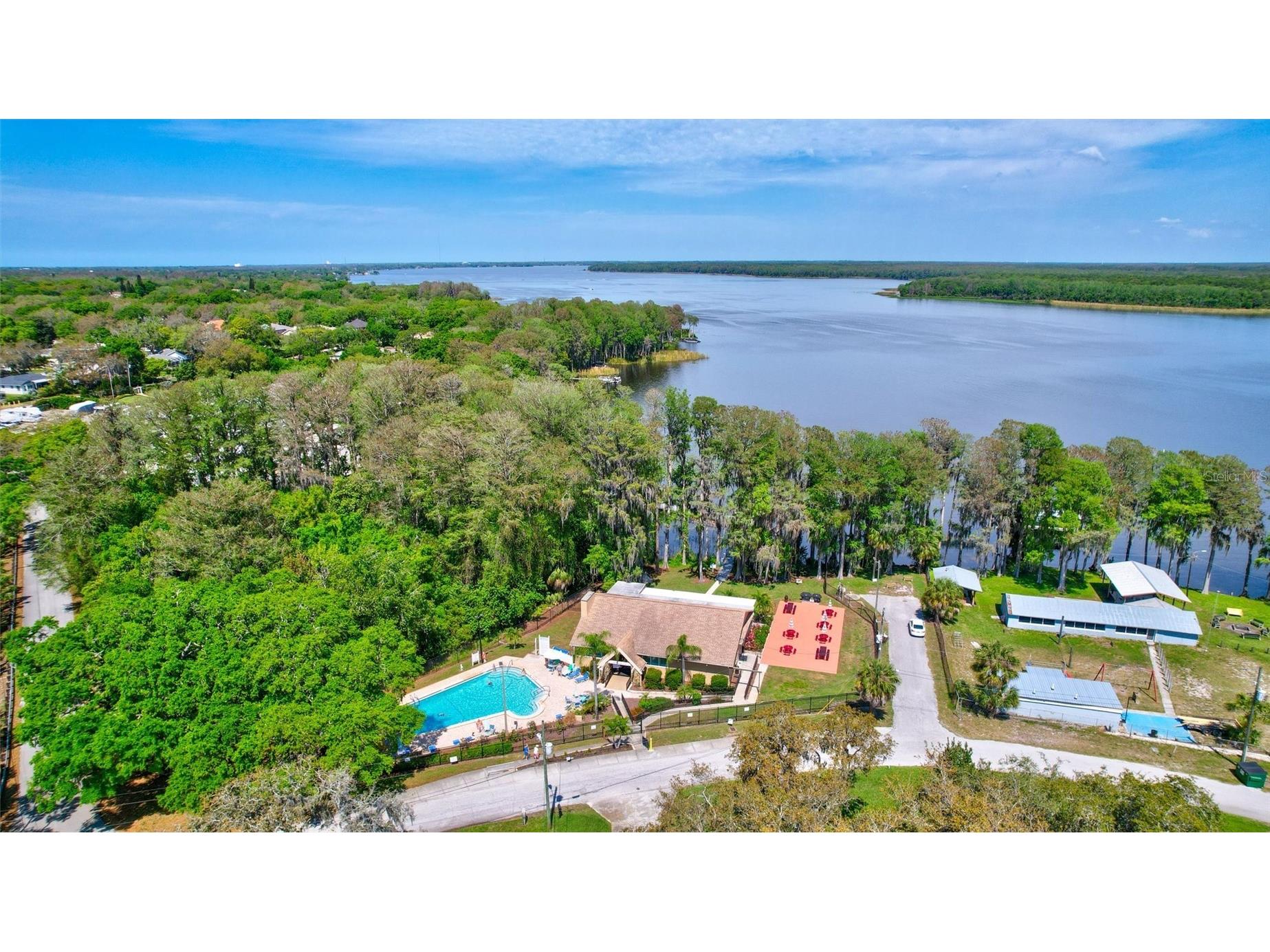 2955 Briar Cliff Drive Palm Harbor FL 34684 - LAKE TARPON TB8478305 image61
