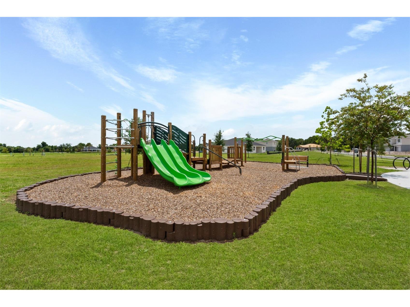 2955 Camellia Flower Street Apopka FL 32703 O6390277 image21