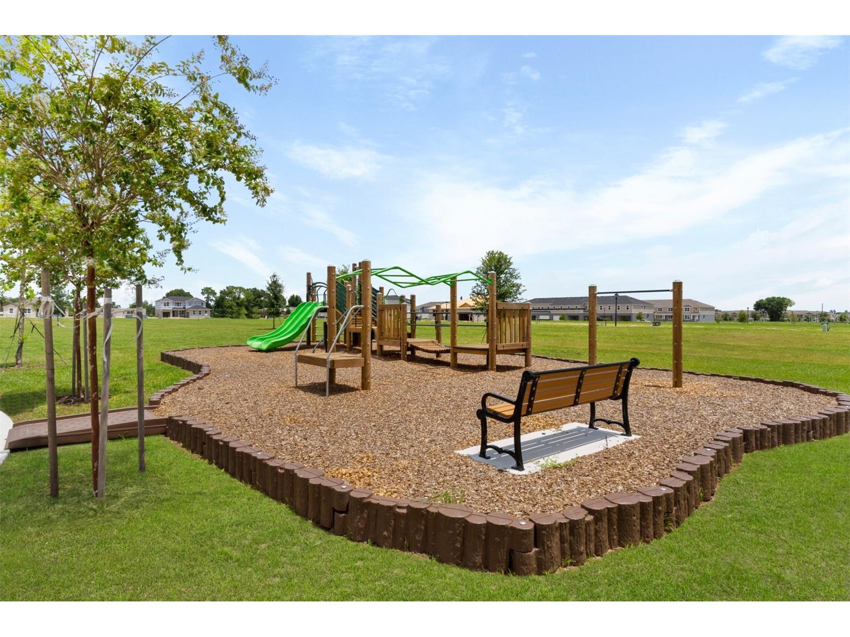 2955 Camellia Flower Street Apopka FL 32703 O6390277 image22