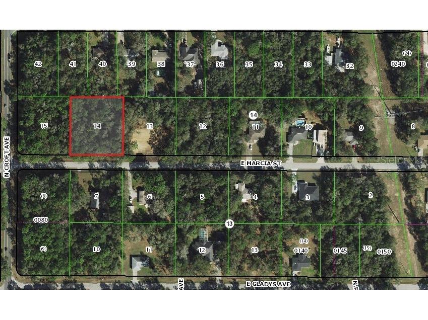 2955 E Marcia Street Inverness FL 34453 T3516821 image1