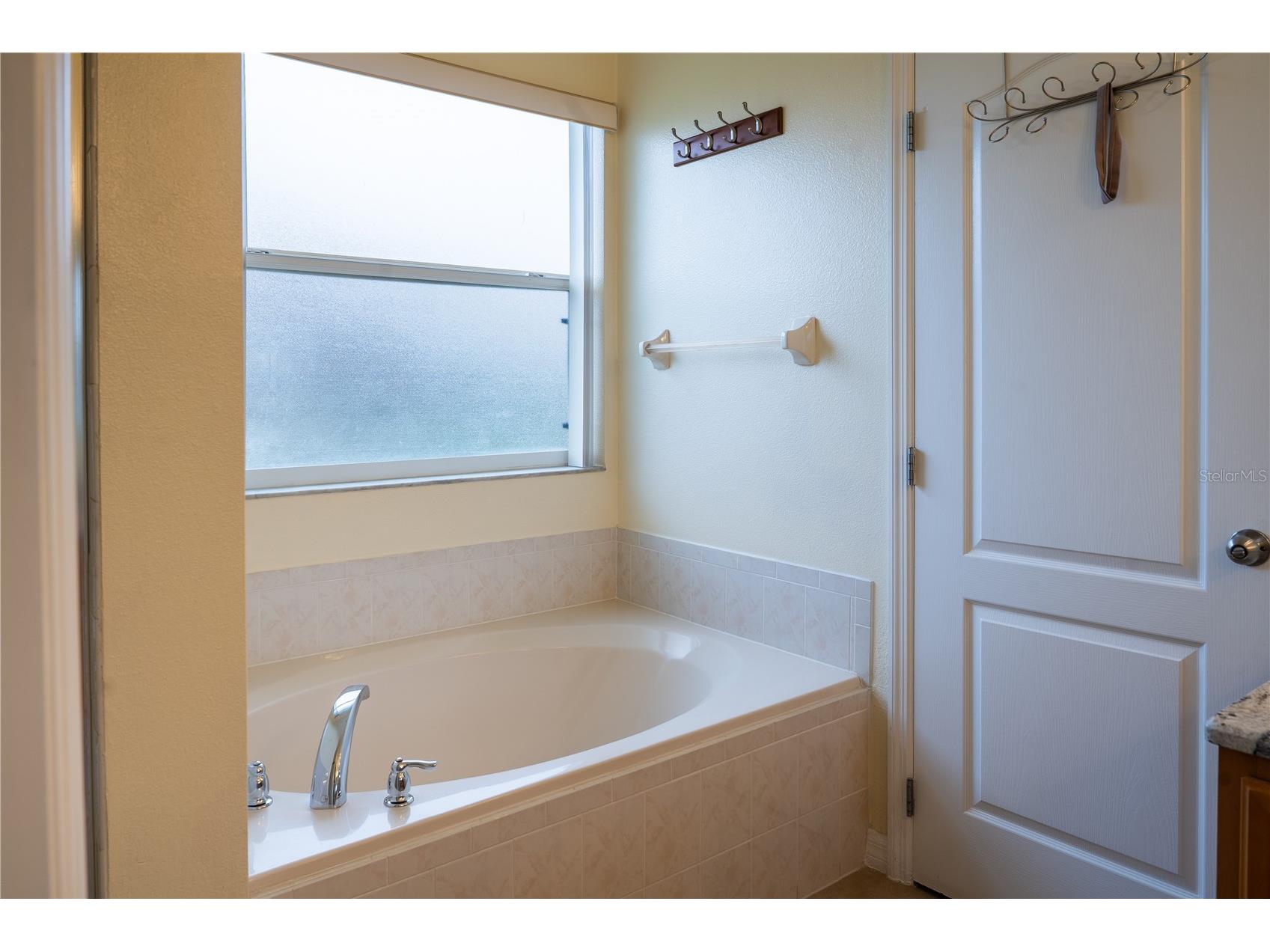 2955 Marbella Drive Kissimmee FL 34744 S5149074 image12