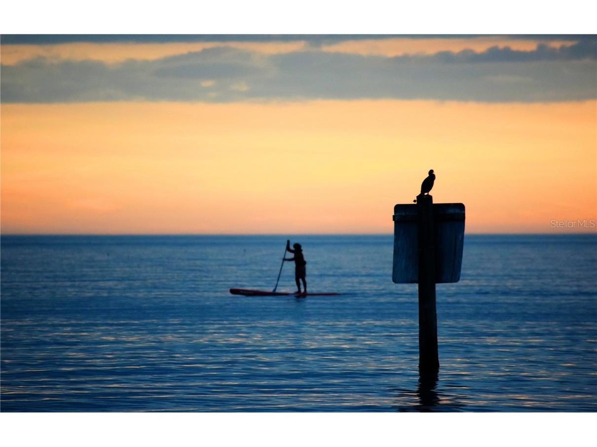 2955 N Beach Road #A411 Englewood FL 34223 - LEMON BAY & GULF OF MEXICO D6145102 image40