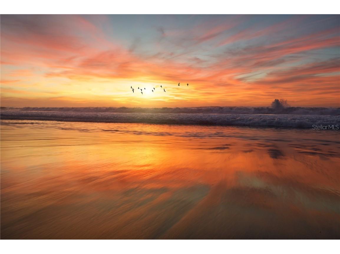 2955 N Beach Road #A411 Englewood FL 34223 - LEMON BAY & GULF OF MEXICO D6145102 image41