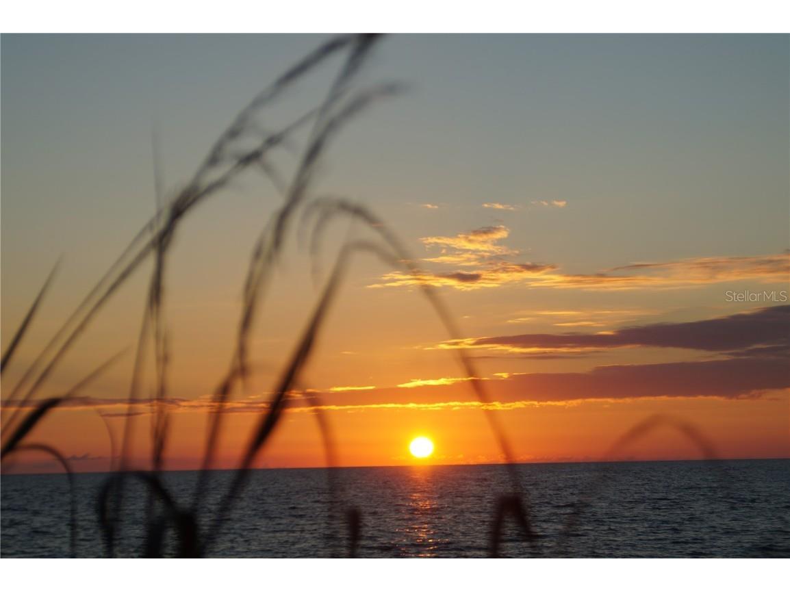 2955 N Beach Road #C123 Englewood FL 34223 - LEMON BAY & GULF OF MEXICO D6144662 image50