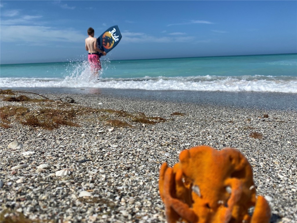 2955 N Beach Road #D125 Englewood FL 34223 - LEMON BAY & GULF OF MEXICO D6144985 image37