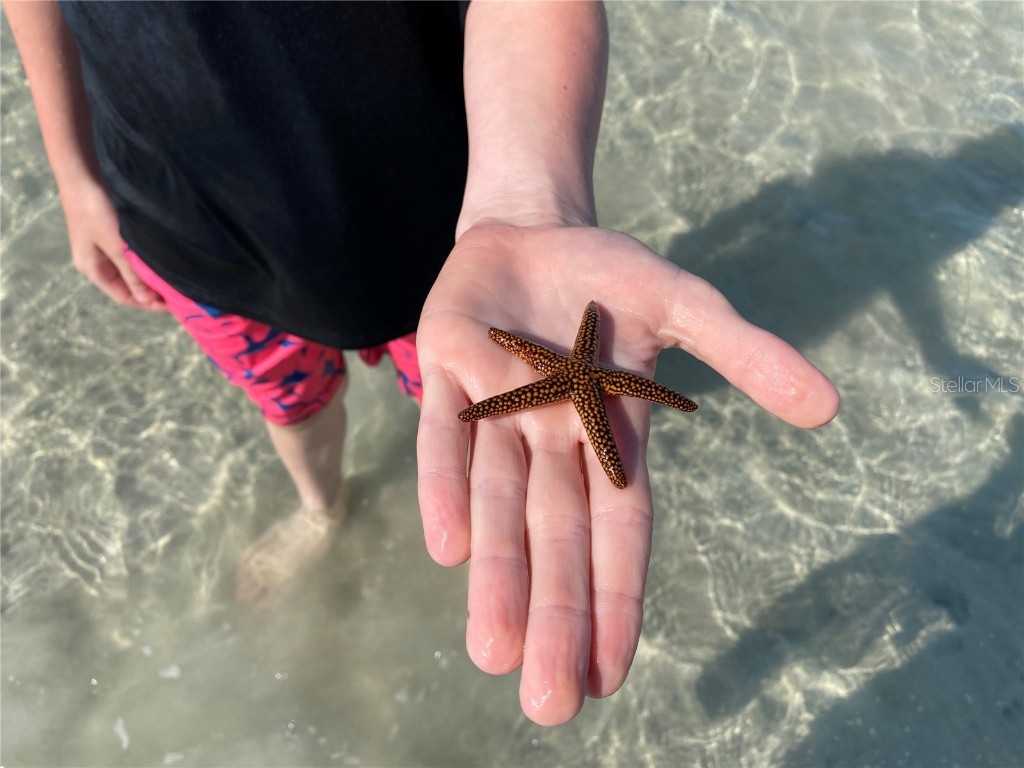 2955 N Beach Road #D125 Englewood FL 34223 - LEMON BAY & GULF OF MEXICO D6144985 image38