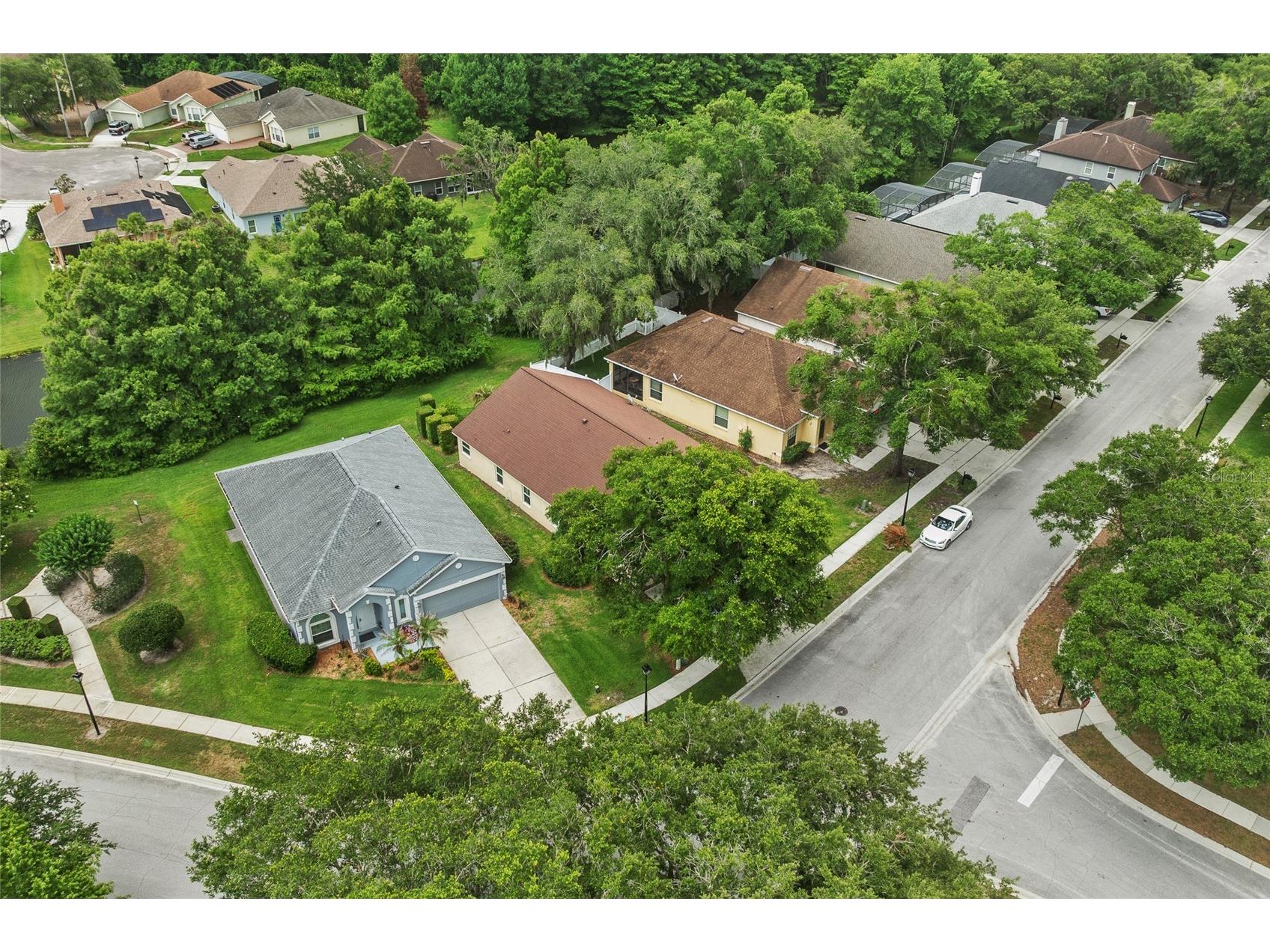 2955 Sabel Oak Place Oviedo FL 32765 TB8457954 image26