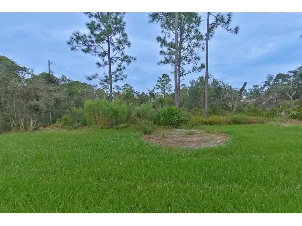 2955 W Pintado Drive Citrus Springs FL 34433 O6385619 image17