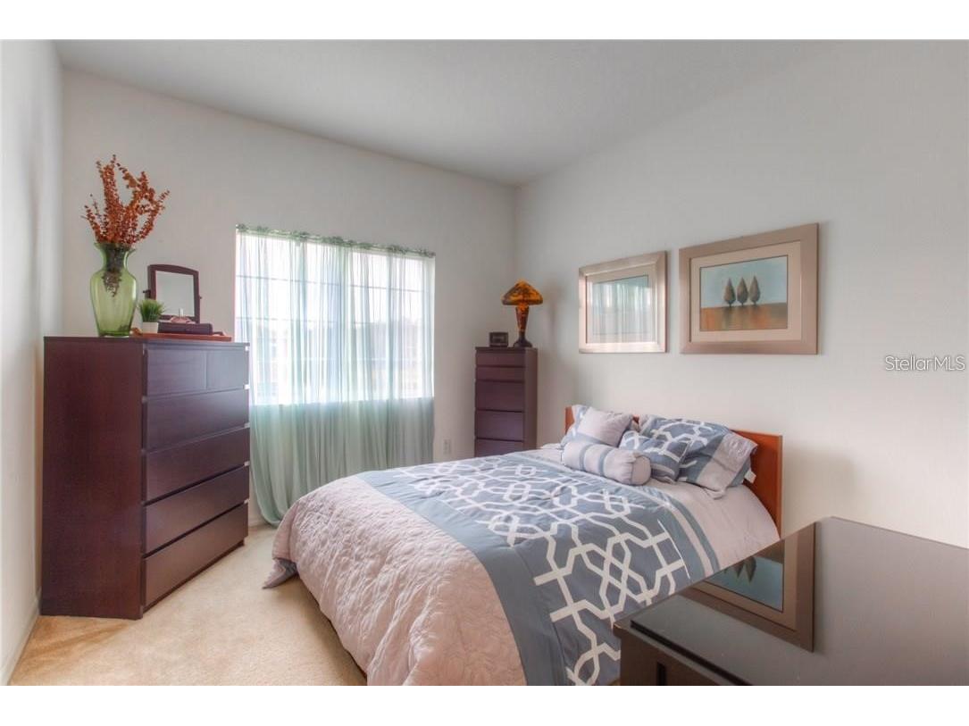 2955 Willowleaf Lane Wesley Chapel FL 33544 TB8479075 image11