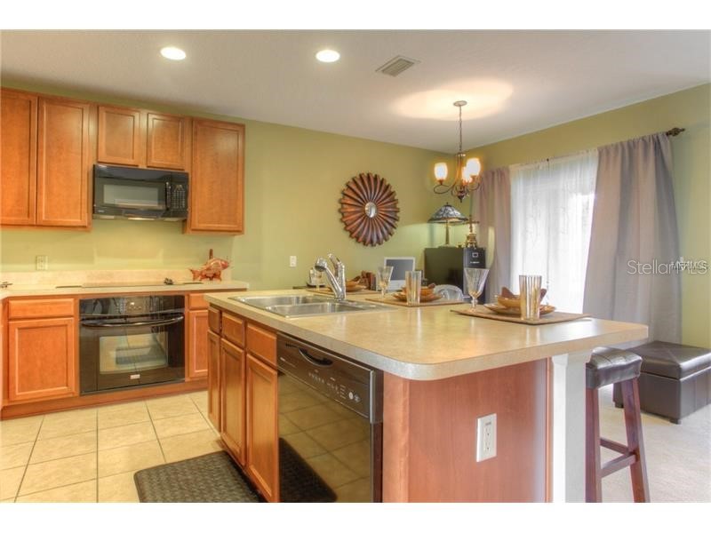 2955 Willowleaf Lane Wesley Chapel FL 33544 TB8479075 image4