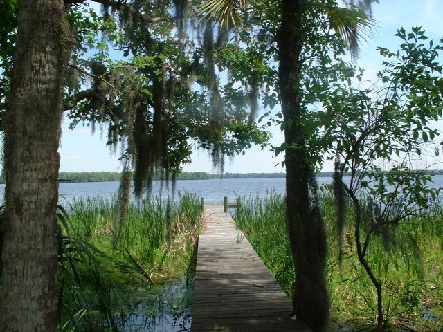 29551 NE 149th Street Road Salt Springs FL 32134 - ST. JOHNS RIVER T3434231 image1