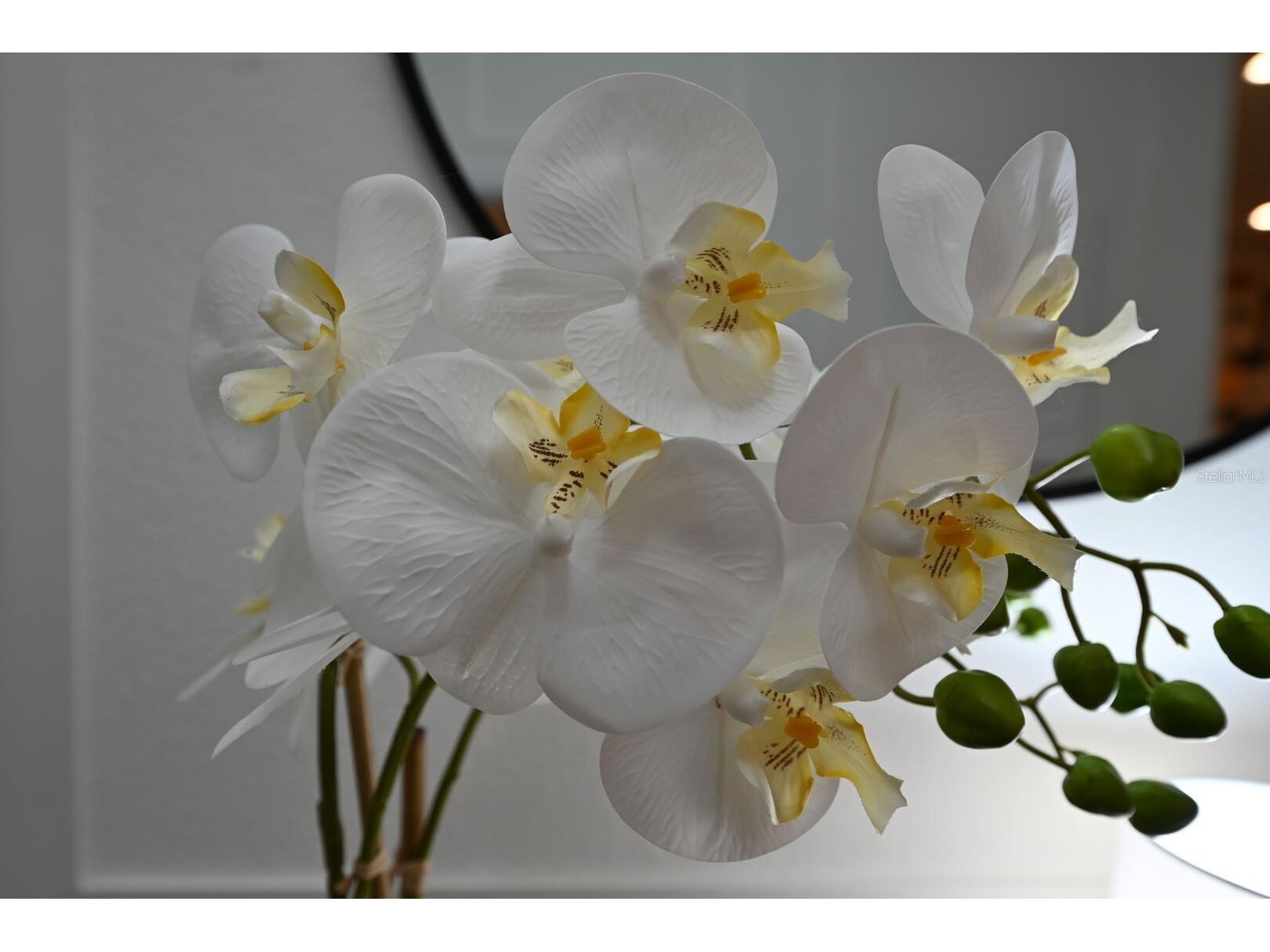 2956 Penelope Loop Kissimmee FL 34746 O6370455 image22