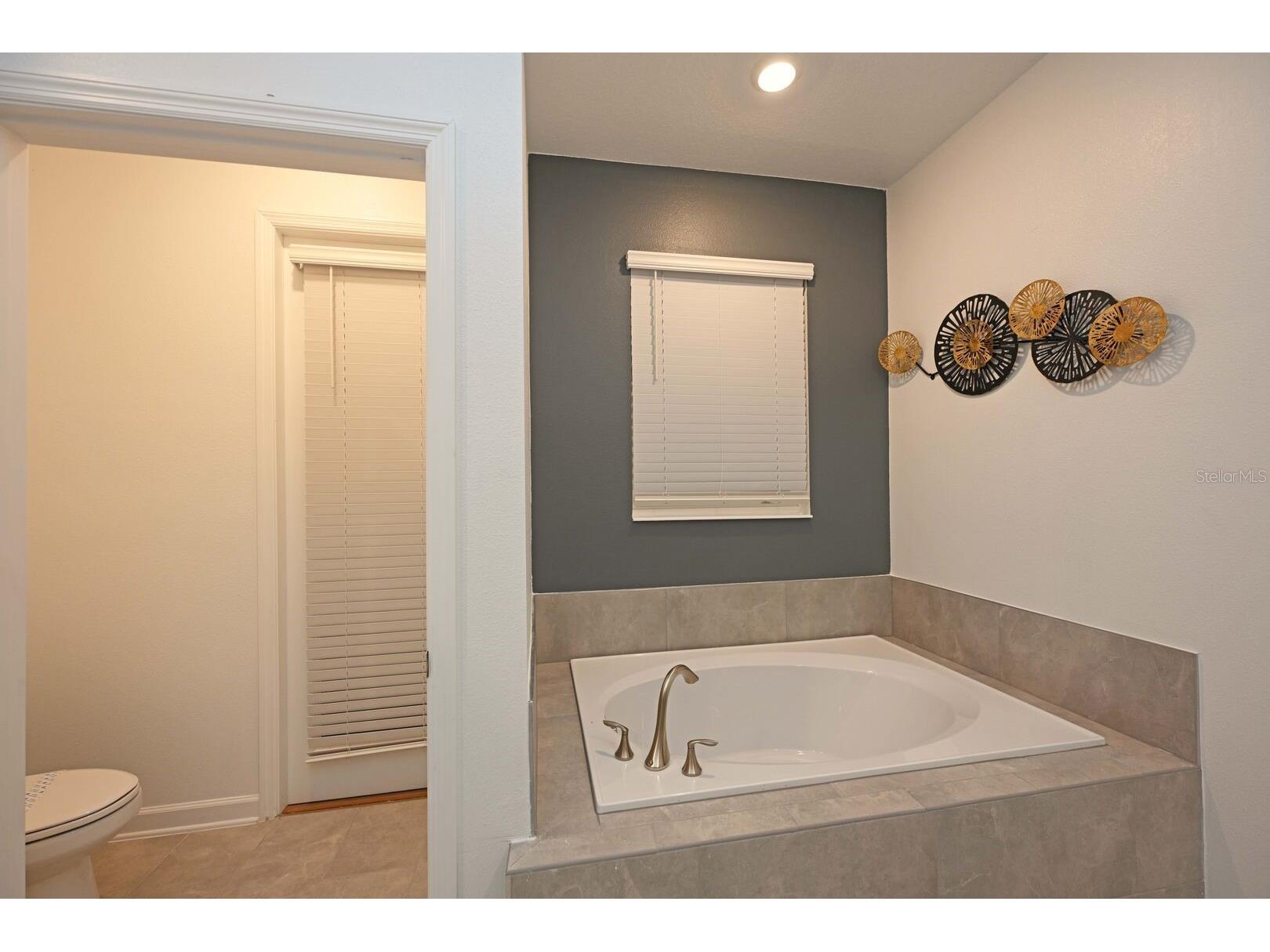 2956 Penelope Loop Kissimmee FL 34746 O6370455 image50