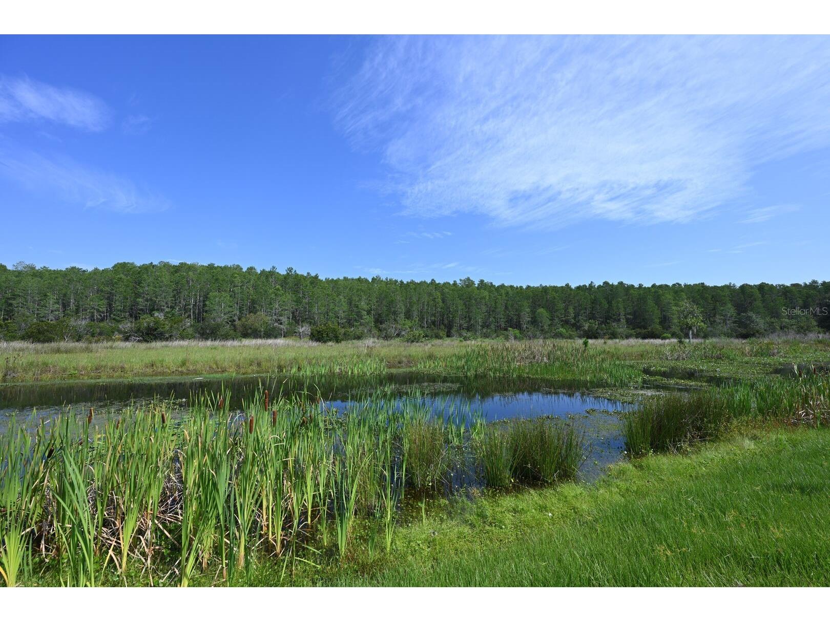 2956 Penelope Loop Kissimmee FL 34746 O6370455 image87