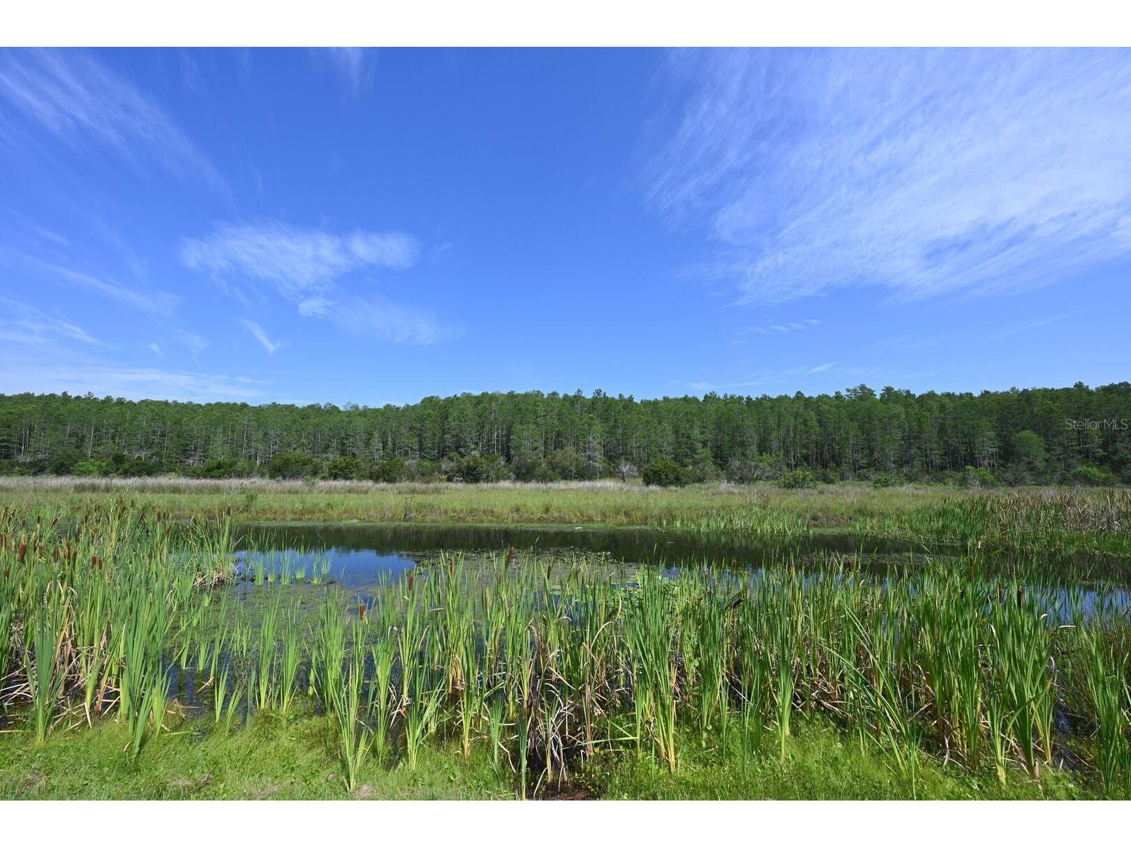 2956 Penelope Loop Kissimmee FL 34746 O6370455 image88