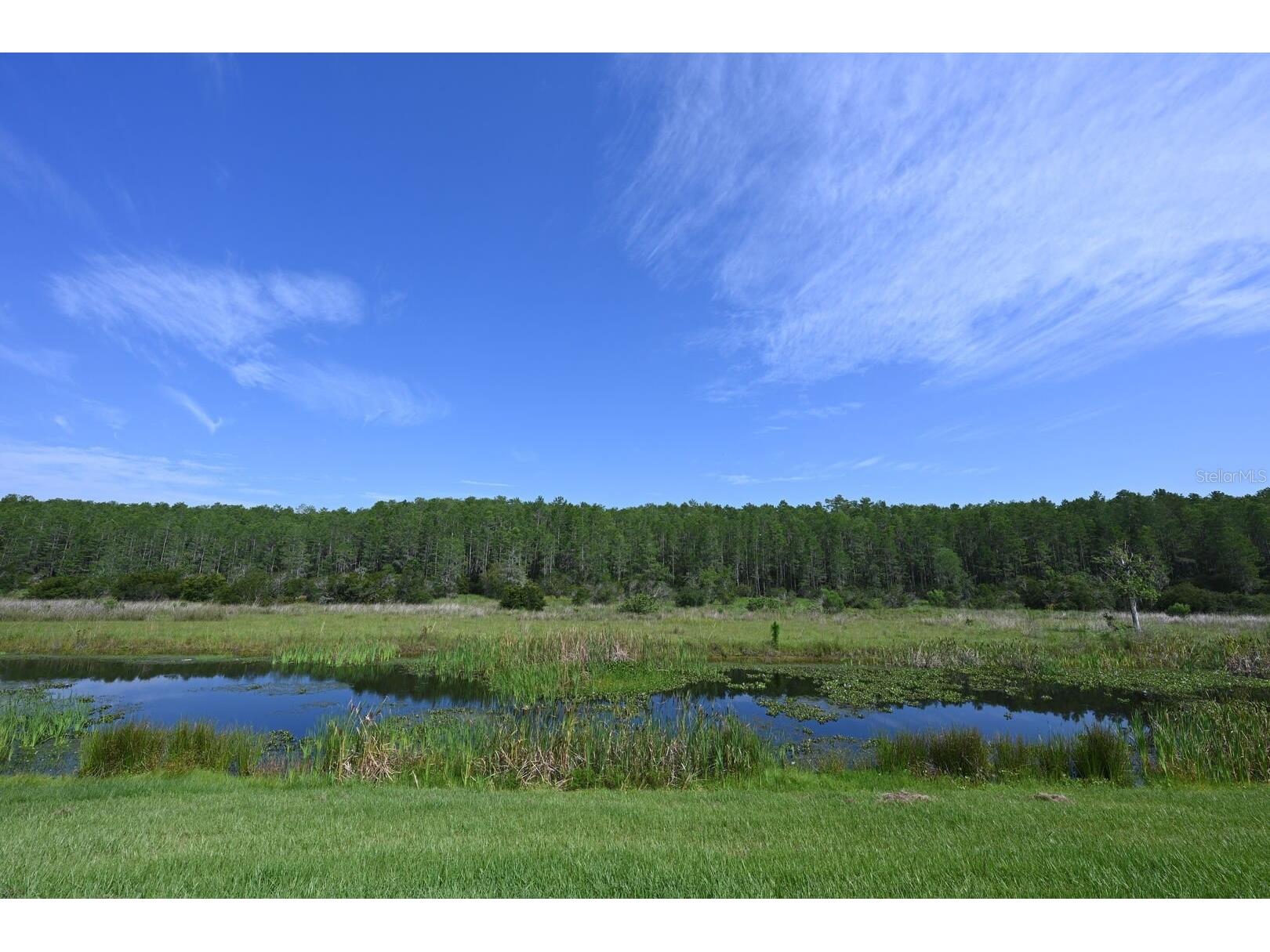 2956 Penelope Loop Kissimmee FL 34746 O6370455 image90