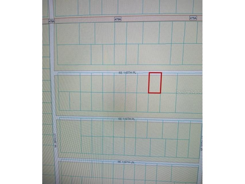 2956 SE 145th Place Summerfield FL 34491 OM658873 image1