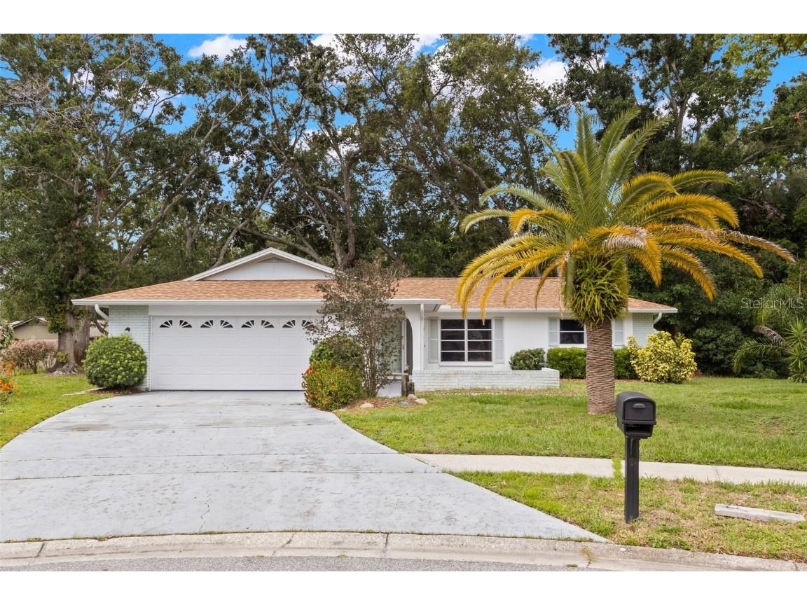 2956 Sutherland Court Palm Harbor FL 34684 TB8391262 image1