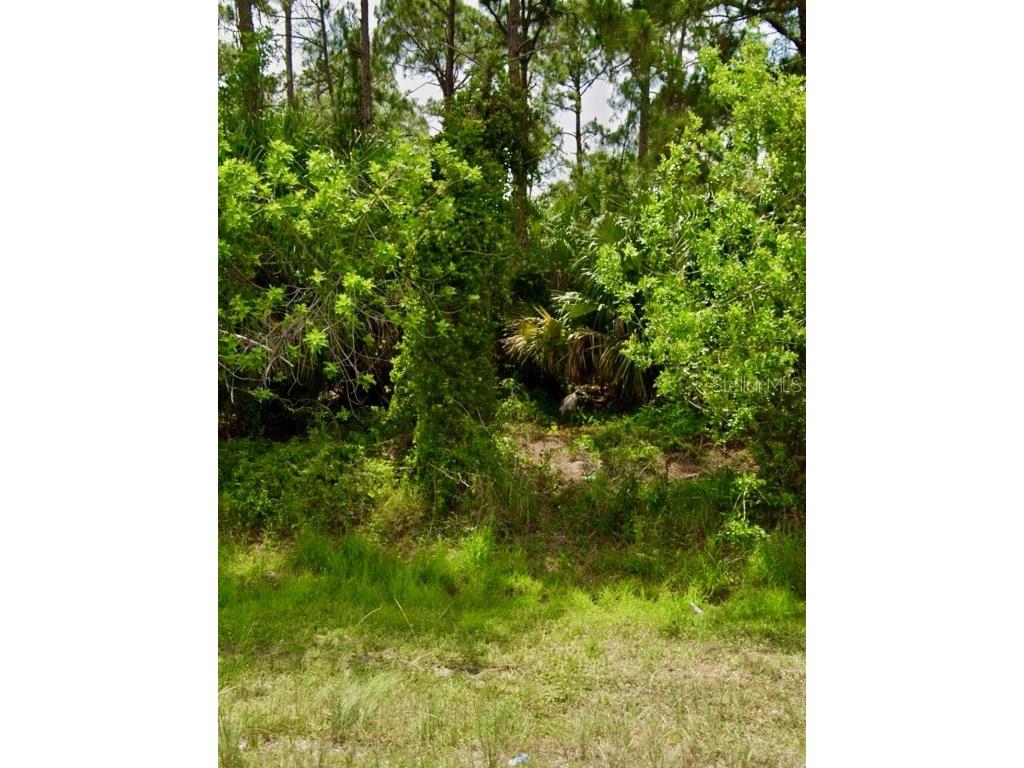 2956 SW Moody Terrace Port Saint Lucie FL 34953 S5139401 image5